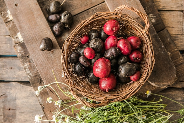 Zelfgekweekte biologische rauwe paarse Vitelotte-aardappel op houten tafel