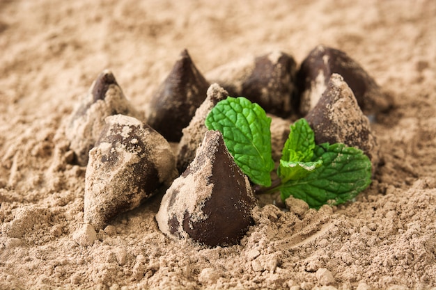 Zelfgemaakte chocoladetruffels en mint