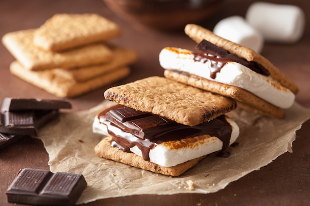 Zelfgemaakte marshmallow s'mores met chocolade op crackers