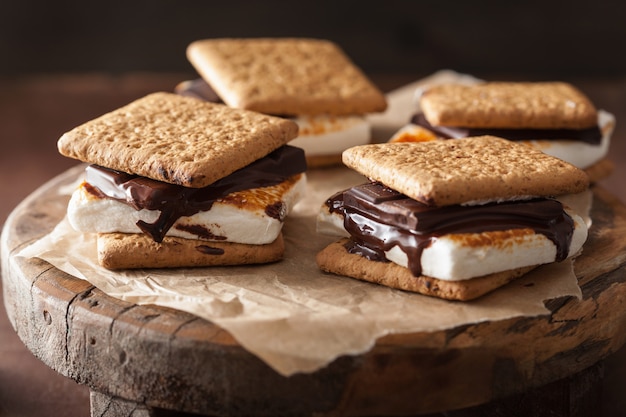 Zelfgemaakte marshmallow s'mores met chocolade op crackers