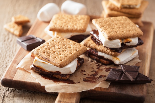 Zelfgemaakte marshmallow s'mores met chocolade op crackers