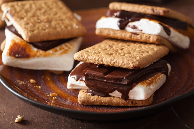 Zelfgemaakte marshmallow s'mores met chocolade op crackers