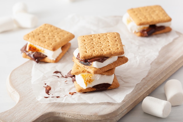 Zelfgemaakte marshmallow s'mores met chocolade op crackers