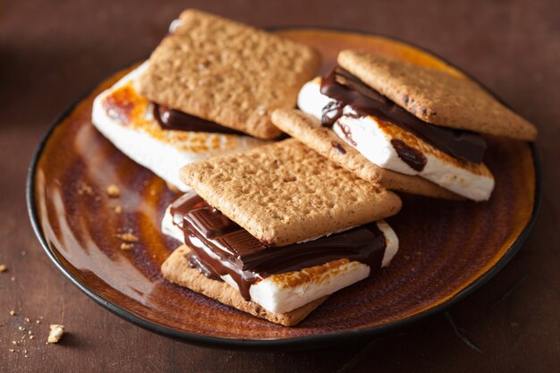 Zelfgemaakte marshmallow s'mores met chocolade op crackers