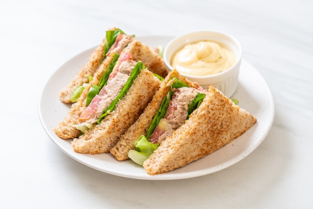 Zelfgemaakte tonijn sandwich