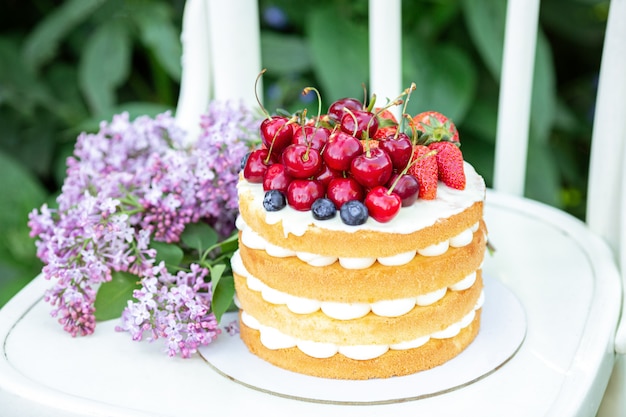 Zelfgemaakte zomer biscuit cake met room en verse bessen in de tuin