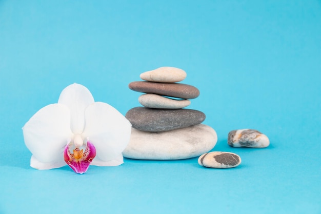 Zen balance pebbles with orchids. Concept of spa and health care, peace and quiet. On a blue wall.