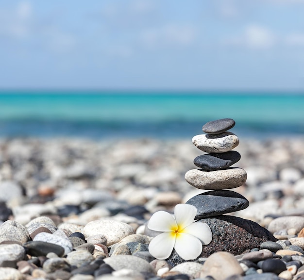 Zen balanced stones stack with plumeria flower