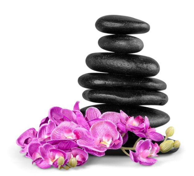 Zen basalt stones and flowers on white background