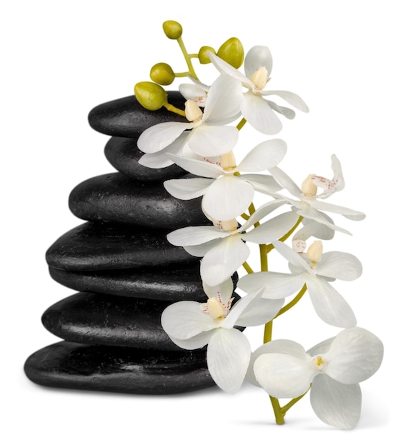 Zen basaltstenen en bloemen, spa concept