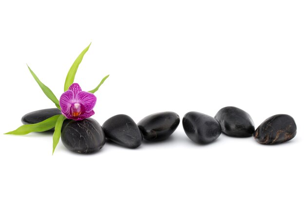 Zen pebbles and orchid flower Stone spa and healthcare concept