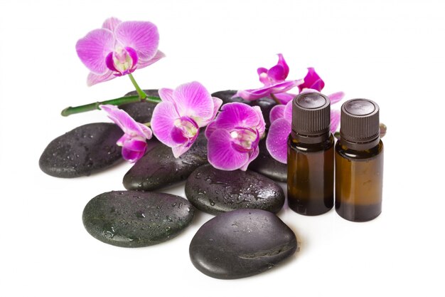 Zen stone and orchid. spa concept