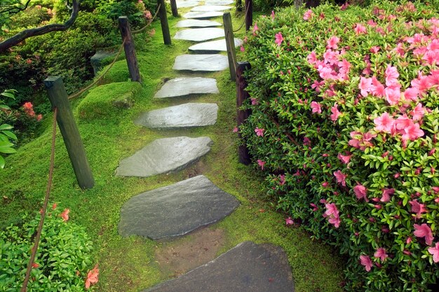 Zen stone pathway in Japanese garden by wet summer day