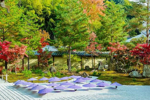 Zen-tuin en paraplupresentatieprogramma in Japan.