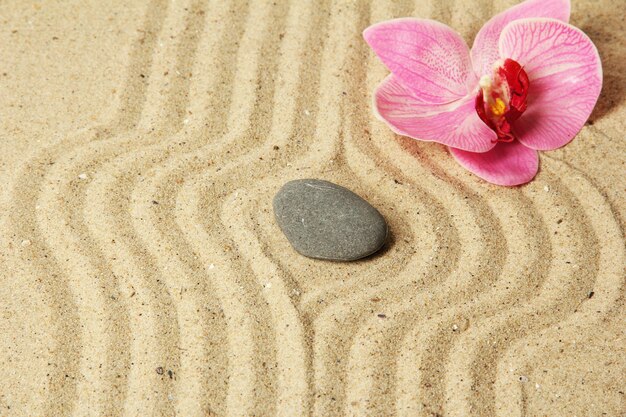 Zen-tuin met geharkt zand en ronde steen van dichtbij