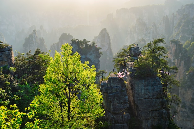 Foto zhangjiajie-bergen, china