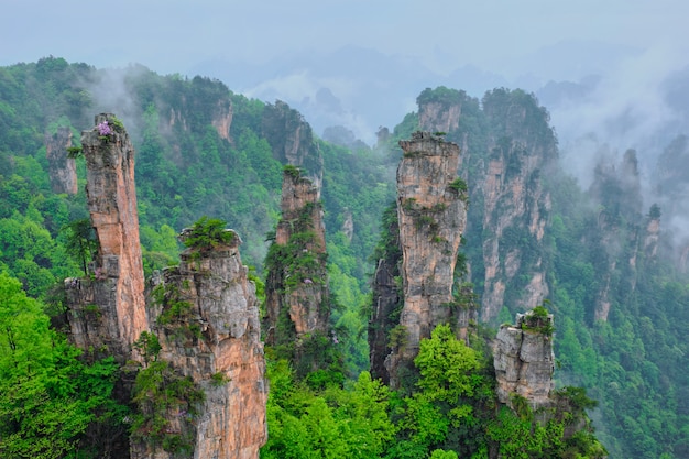 Zhangjiajie-bergen, China