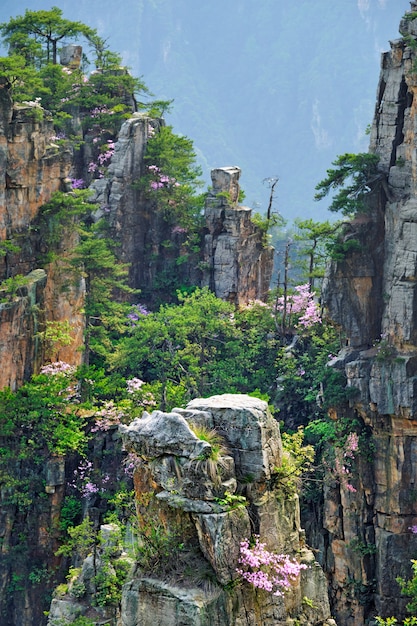 Zhangjiajie-bergen, China