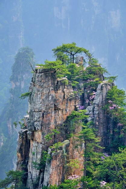 Zhangjiajie-bergen, China