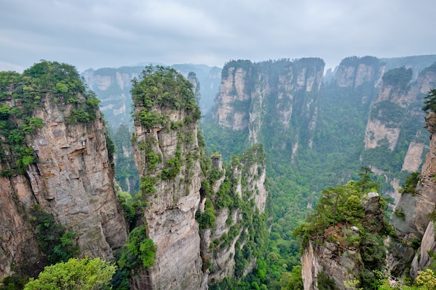 Zhangjiajie-bergen, China