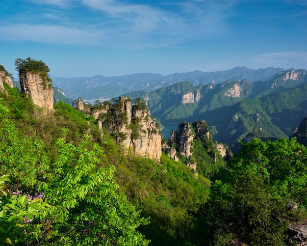 Zhangjiajie-bergen, China