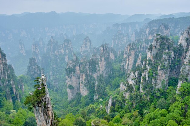 Photo zhangjiajie mountains china