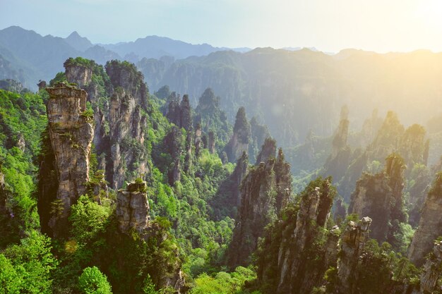 Photo zhangjiajie mountains china