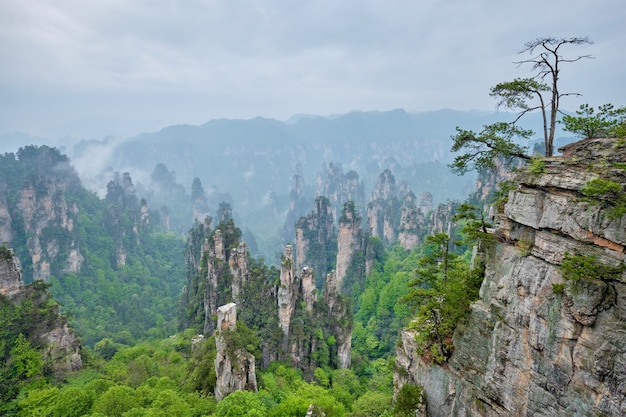 Zhangjiajie mountains china