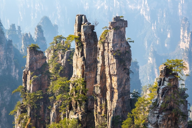 Zhangjiajie Nationaal bos China