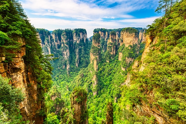 Photo zhangjiajie national forest park. gigantic quartz pillar mountains rising from the canyon during summer sunny day. hunan, china.