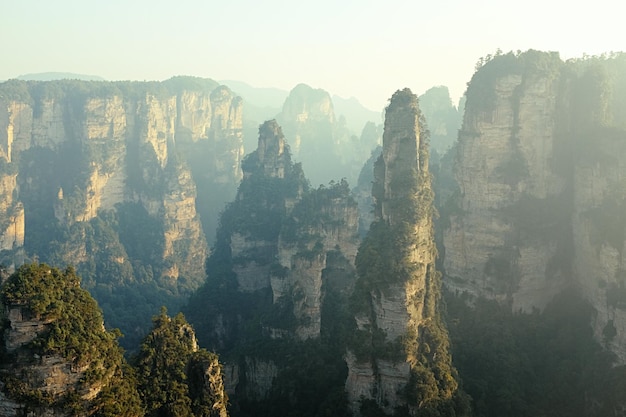 Zhangjiajie 국가 삼림 공원은 Wulingyuan 풍경구에 있는 Zhangjiajie Hunan 지방 중국 국립 공원에 있는 국가 삼림 공원입니다 고품질 사진