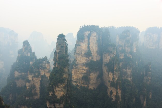 Zhangjiajie国立公園と霧、中国