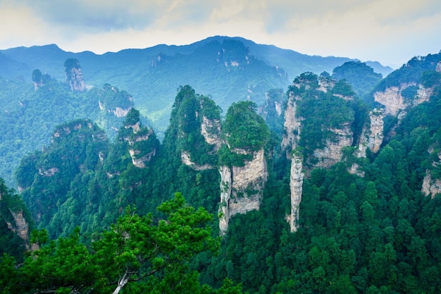 Foto zhangjiajie wulingyuan national scenic spot area panoramica patrimonio naturale mondiale della morfologia dell'arenaria