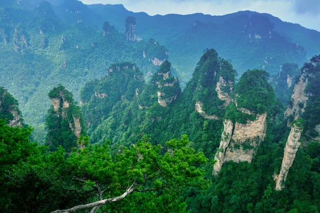 Zhangjiajie Wulingyuan National Scenic Spot Scenic Area sandstone landform world natural heritage