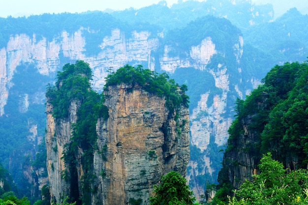 Foto zhangjiajie wulingyuan national scenic spot area panoramica patrimonio naturale mondiale della morfologia dell'arenaria