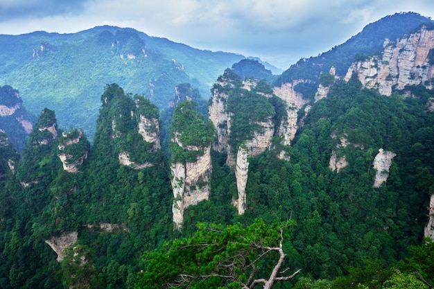 Foto zhangjiajie wulingyuan national scenic spot scenic area zandsteen landvorm wereld natuurlijk erfgoed