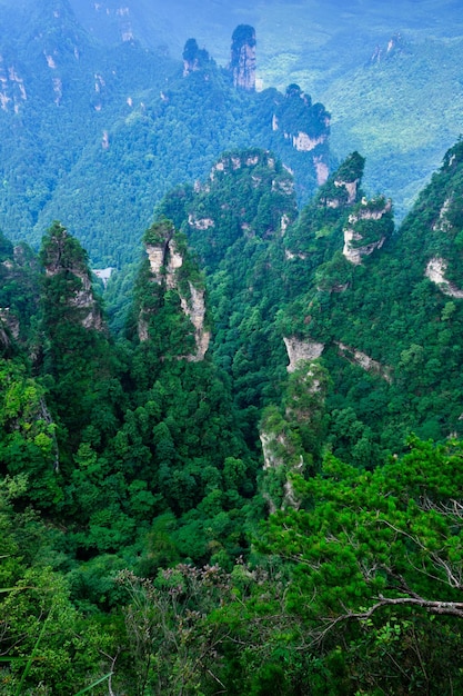 Zhangjiajie Wulingyuan National Scenic Spot Scenic Area zandsteen landvorm wereld natuurlijk erfgoed