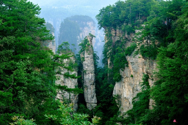 Zhangjiajie Wulingyuan National Scenic Spot Scenic Area zandsteen landvorm wereld natuurlijk erfgoed