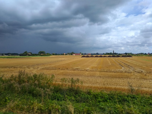 Zicht op het veld na de oogst. Donkere lucht voor de regen over het veld.