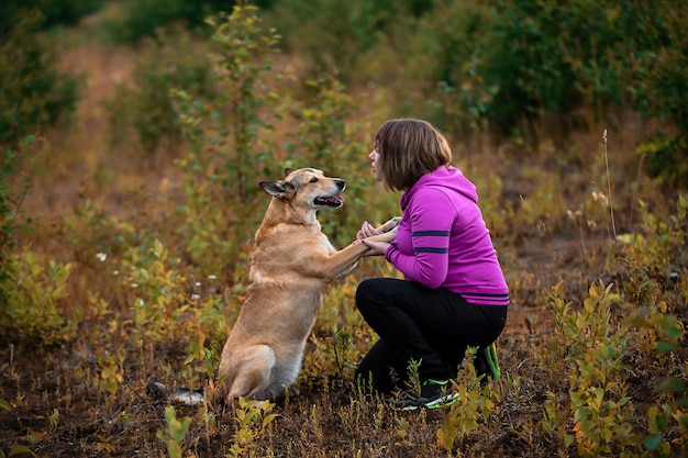Zijaanzicht van een vrouw in een heldere hoodie die gehoorzame hond traint terwijl ze tijd doorbrengt in het groene veld