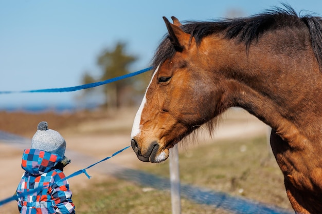 Zijaanzicht van kind dat paard voedt op ranch