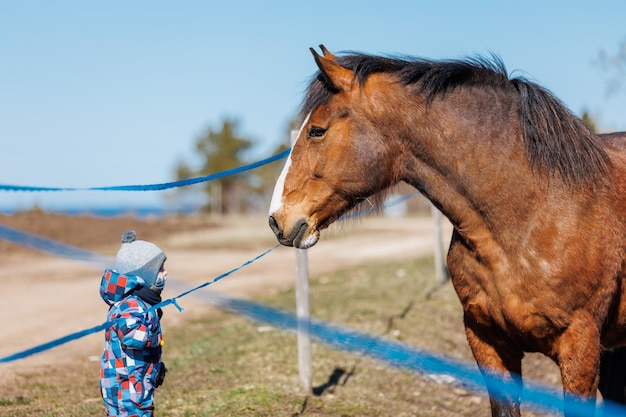 Zijaanzicht van kind dat paard voedt op ranch