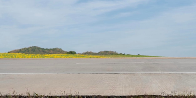 Zijaanzicht van lege weg en plattelandsbergen op achtergrond en bloemen langs de weg