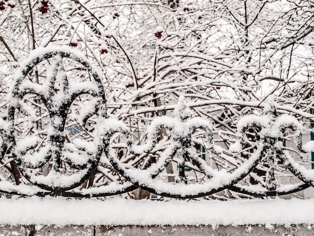 Zijaanzicht van zwart metaal gesmeed in de winter