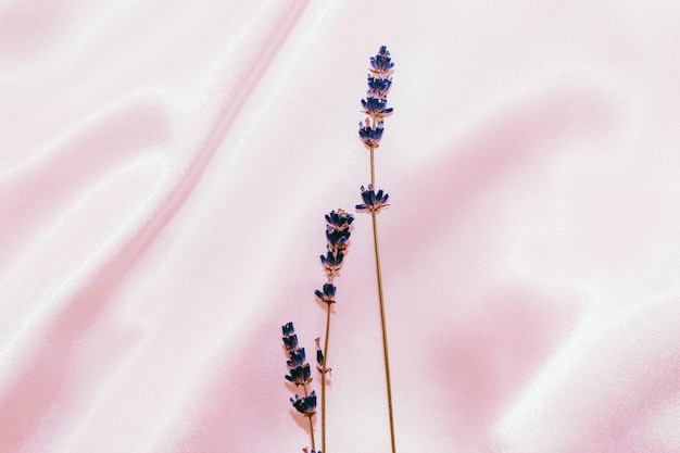 Zijdetextuur met lavendeltakjes op roze achtergrond