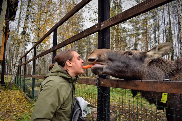 Foto zijkant van een man die wortel eet met een eland bij een hek