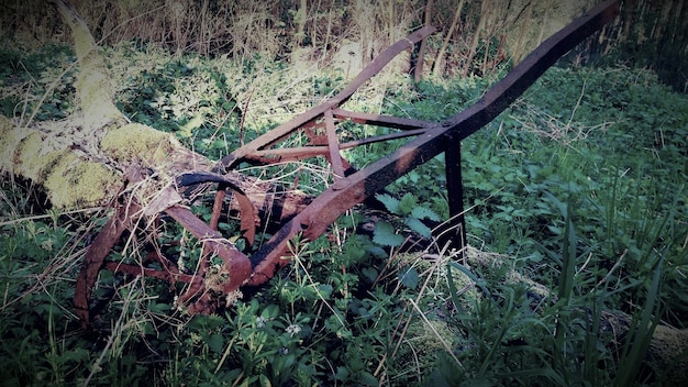 Foto zijkant van een verlaten kar op het landschap