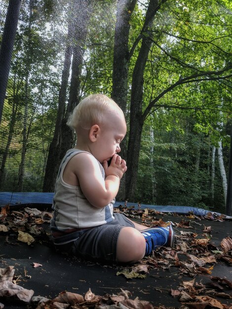 Foto zijkantbeeld van een baby jongen die tussen gevallen droge bladeren op een trampoline tegen bomen zit