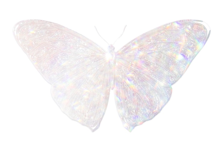 Foto zilveren holografische vlinderplakker met een witte rand