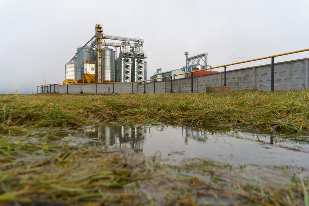 Zilveren silo's op agrarische productie-installatie voor de verwerking, het drogen, het reinigen en de opslag van landbouwproducten meel, granen en graan Grote ijzeren vaten met graan